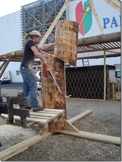 un grand sapin bien calé dans la foire