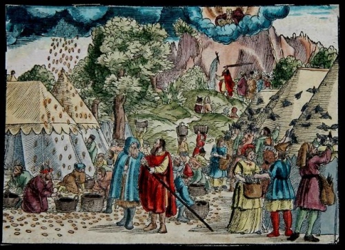 Les Israélites dans le désert