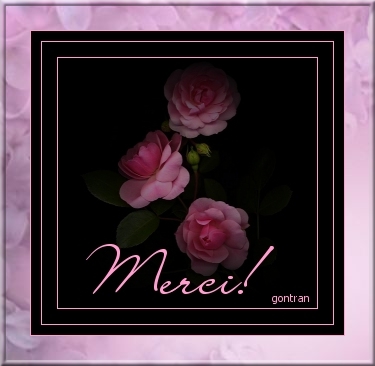 *Merci* 1