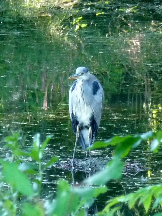 Septembre sous le soleil 