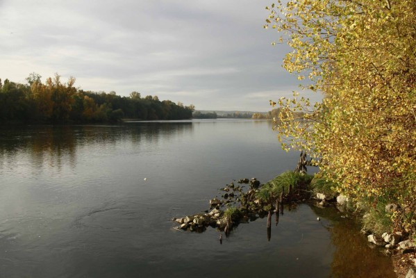 Automne 2010 - Loire - 139