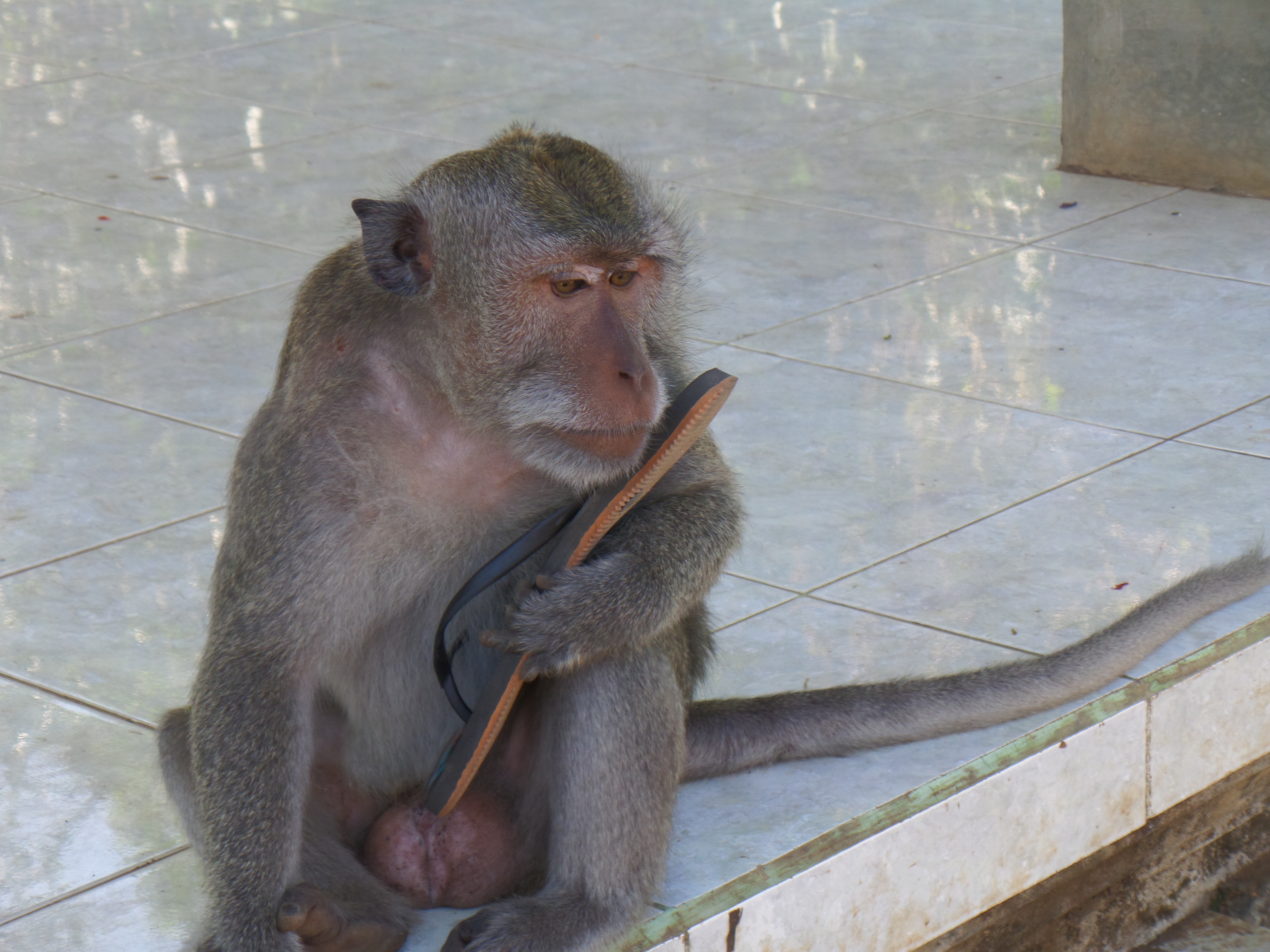 photo grosse personne