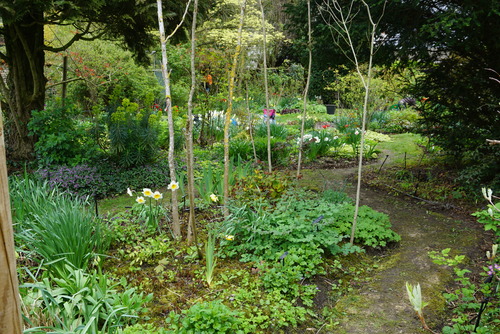 C'est magique dans le jardin d'André Eve