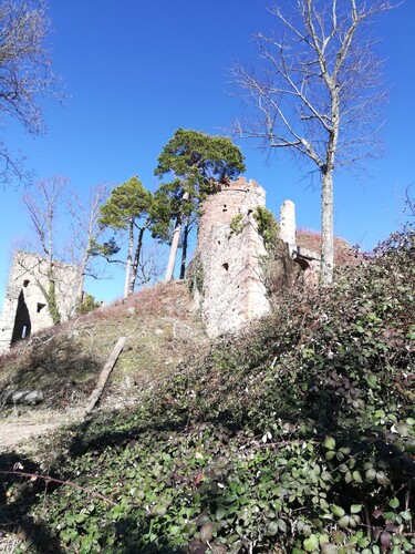 Rando aux châteaux de Ribeauvillé