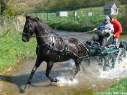 Notre JNAL 2015 dans la vallée de la Durdent en Normandie! PXkA8GrPvLOG0kYeQiK03jvEtR4@250x188