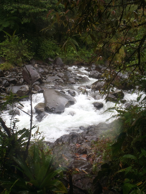 Cascade Paradis - La Grivelière - Vieux Habitants