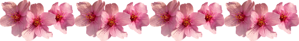 barre séparation fleurs