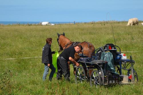 15 Juillet - Témoignage - La seconde 1/2 étape - Quiberville => Veules