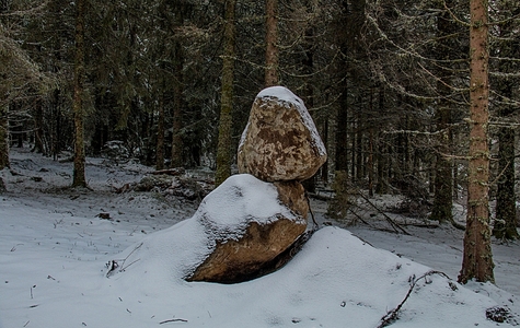 Séjour Super-Besse du 13 au 20 janvier 2019, JEAN-CLAUDE