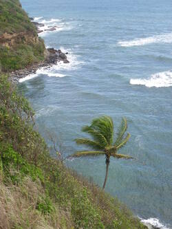 Des SAINTES vers la MARTINIQUE via la DOMINIQUE