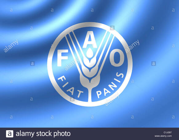 FAO POUR L'ALIMENTATION ET L'AGRICULTURE A ROME 
