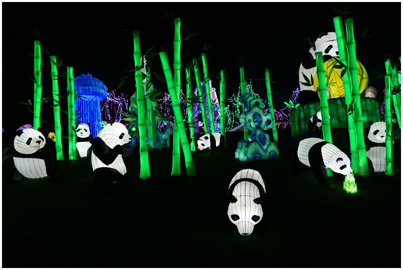Festival des lanternes-Jardin fantastique-03