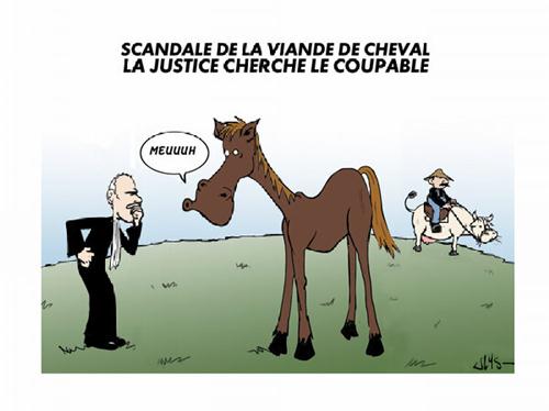 scandale-findus-viande-cheval
