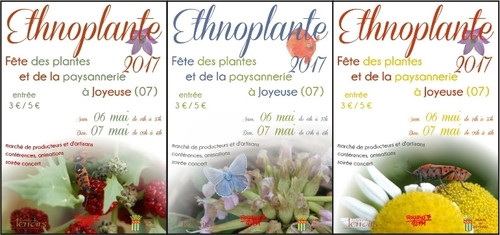 choissisez l'affiche d'ethnoplante édition 2017 !