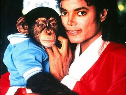 Bubbles, le chimpanzé de Michael Jackson va avoir droit à son biopic