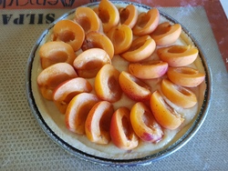 TARTE AMANDINE AUX ABRICOTS