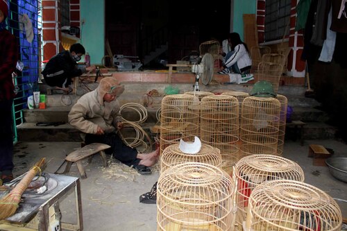 Villages d'artisans 4:  Chuong Vac, les cages à oiseaux