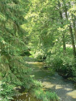 Forêt et vallées de l'Eure