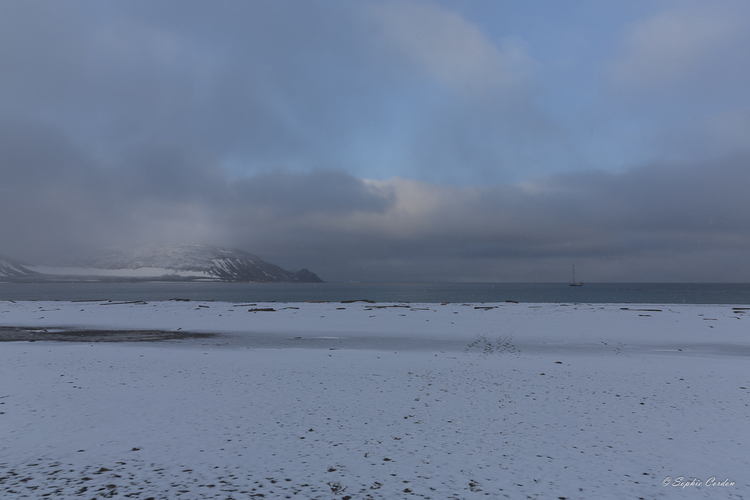 Ambiance 1ère neige à Phippsøya