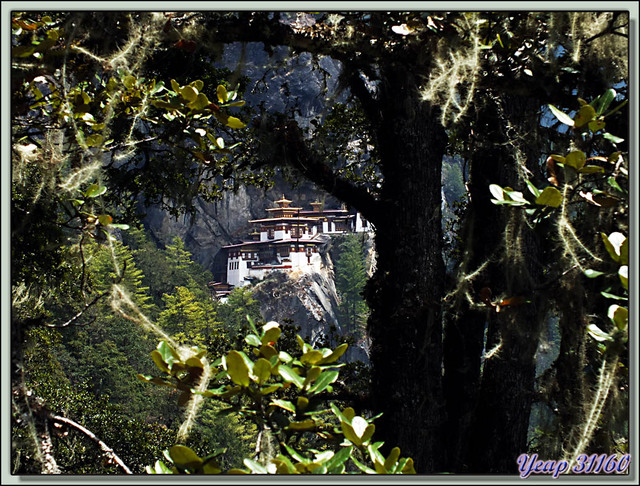 Blog de images-du-pays-des-ours : Images du Pays des Ours (et d'ailleurs ...), Monastère de Taktsang Pelphug (La Tanière du Tigre, Tiger's Nest Monastery) - Paro - Bhoutan