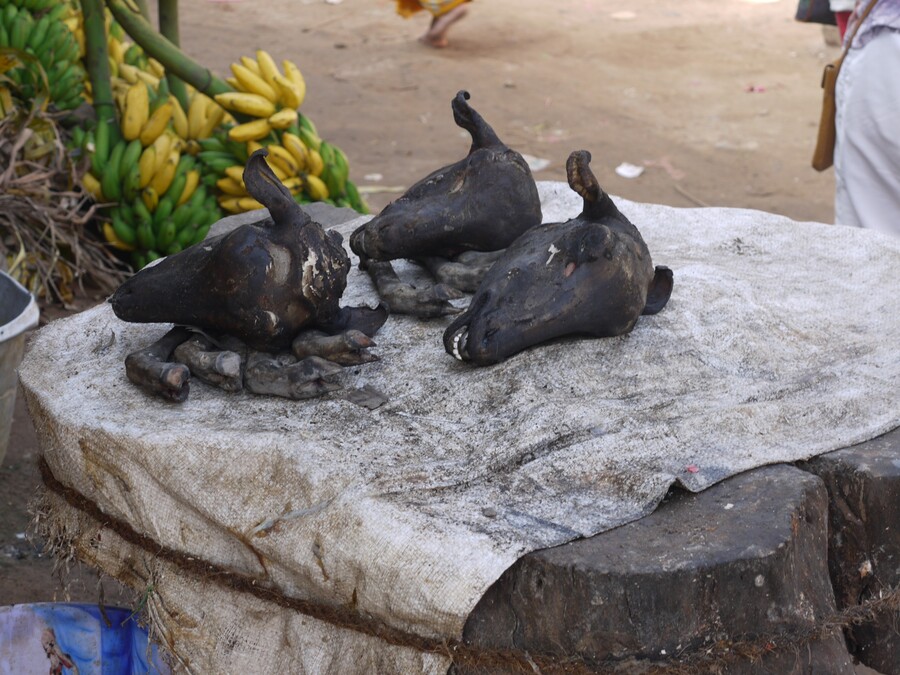 Balade sur un marché