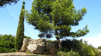 Istres - Le Barabant et la colline Saint Etienne