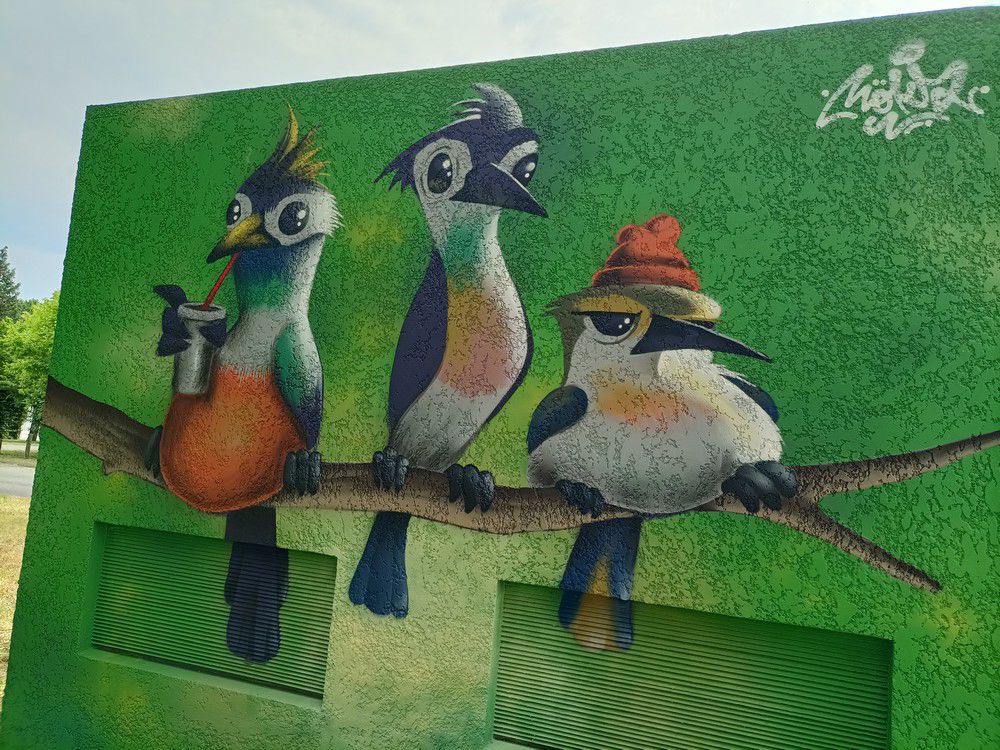 Street-art dans la ville - Coquelicots, oiseaux et coccinelle...