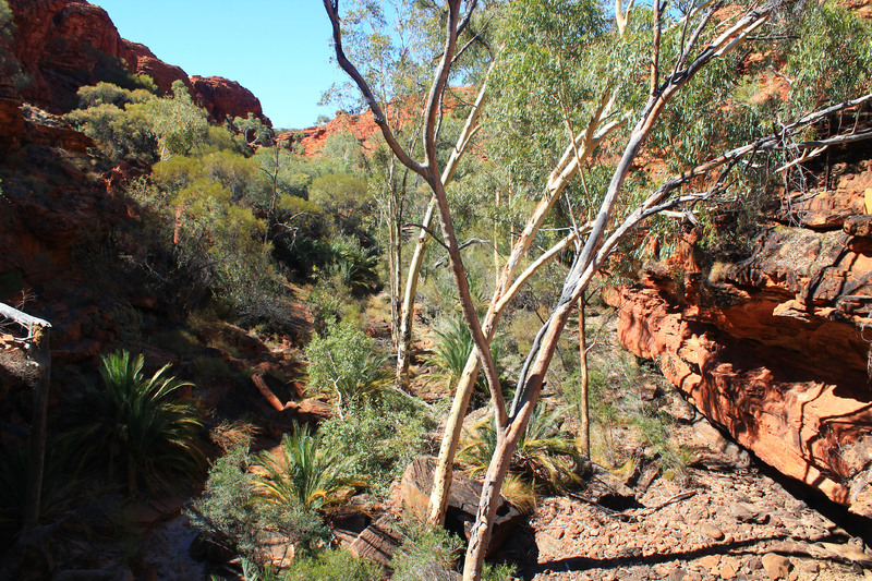 Uluru - Jour 2