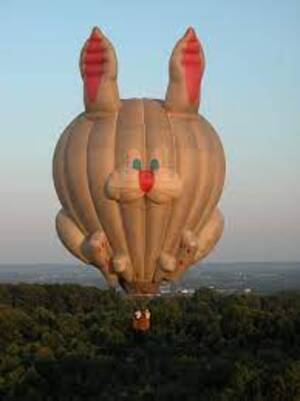 season balloons bunny balloons