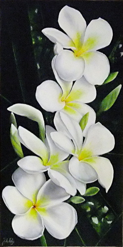 Fleurs de plumeria ("frangipanier")