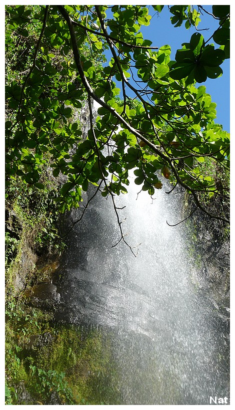 Voyage à la Réunion