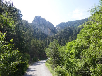 Dans les gorges du Sègre