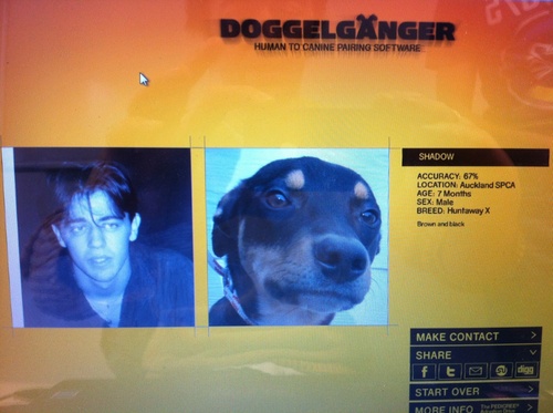 Avec Doggelganger, trouvez le chien qui vous ressemble.