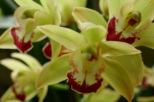 Le cartoscope du dimanche 11 septembre 2022