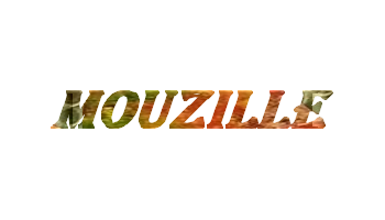 Vos Variante ...Mouzille