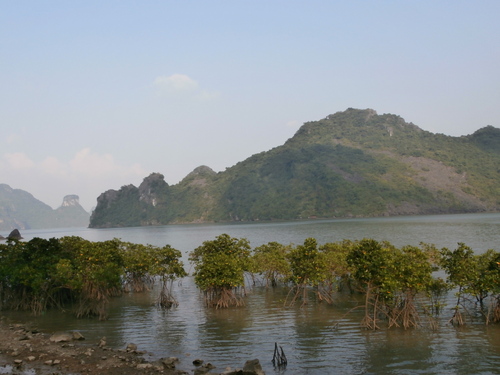 Baie d'Halong et le "Halong terrestre"