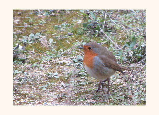 partage photos de décembre 