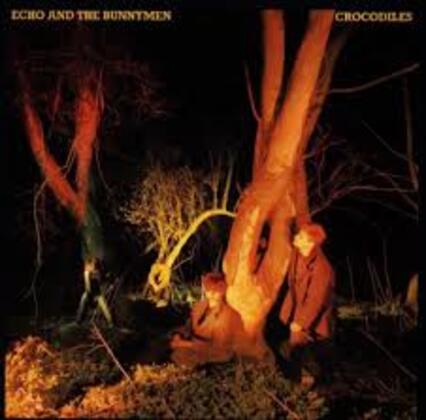 Echo and the Bunnymen