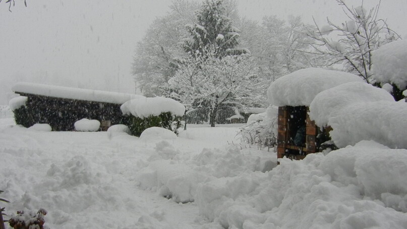 Tempête de neige 01-02-2015
