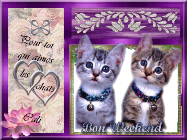 Bon week end