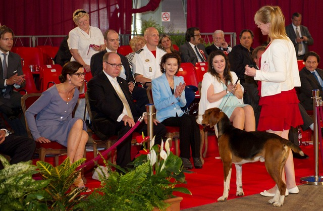 forum rencontre canine