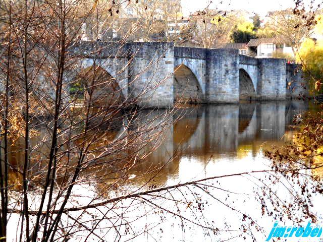 Balade printanière sur les bords de Vienne (2)