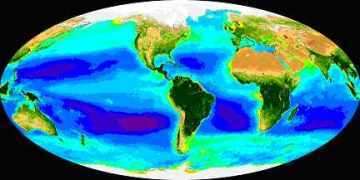 Carte de la concentration en chlorophylle (donc en phytoplancton) dans l’océan analysé par le capteur couleur SeaWiFS de la Nasa. La zone violette identifie la région, dans le Pacifique Sud, où la concentration en chlorophylle est la plus faible de l’océan mondial (2004). En se développant, le phénomène El Nino a un impact important sur la&nbsp;vie marine. © SeaWiFS Project, Nasa, GSFC, Orbimage