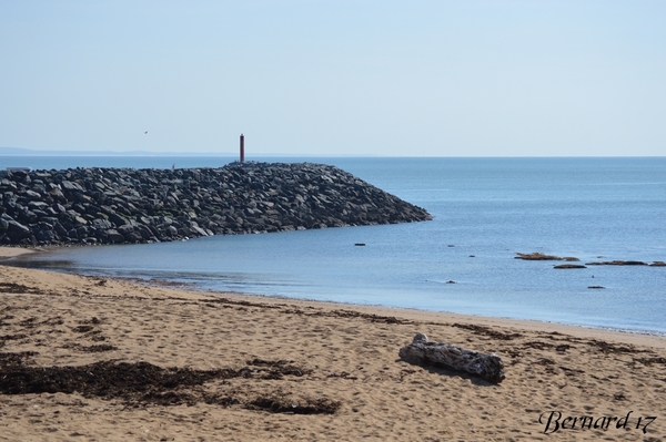 G2-Le Port de la Cotinière 12/10/2021