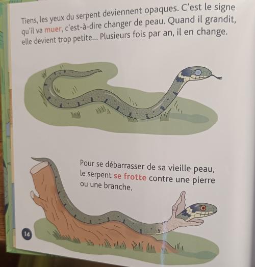 photos 7/11 serpents livres 