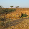 Bivouac entre Assa et Foum El Hisn