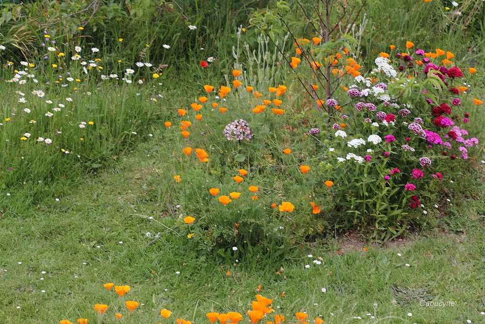 Quand j'ouvre la porte...