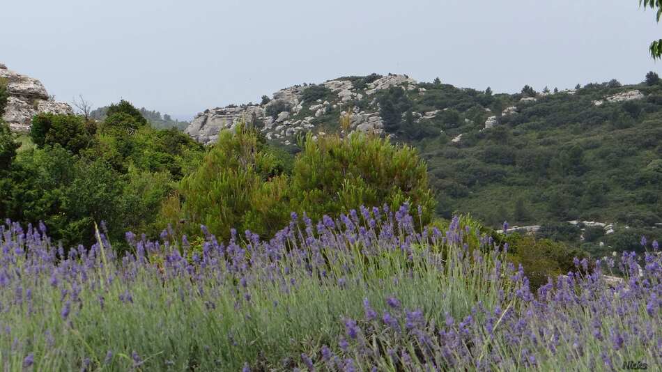 Les Baux de Provence,5