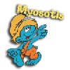 myosotis