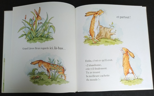 Histoires diverses pour enfants (20 livres)